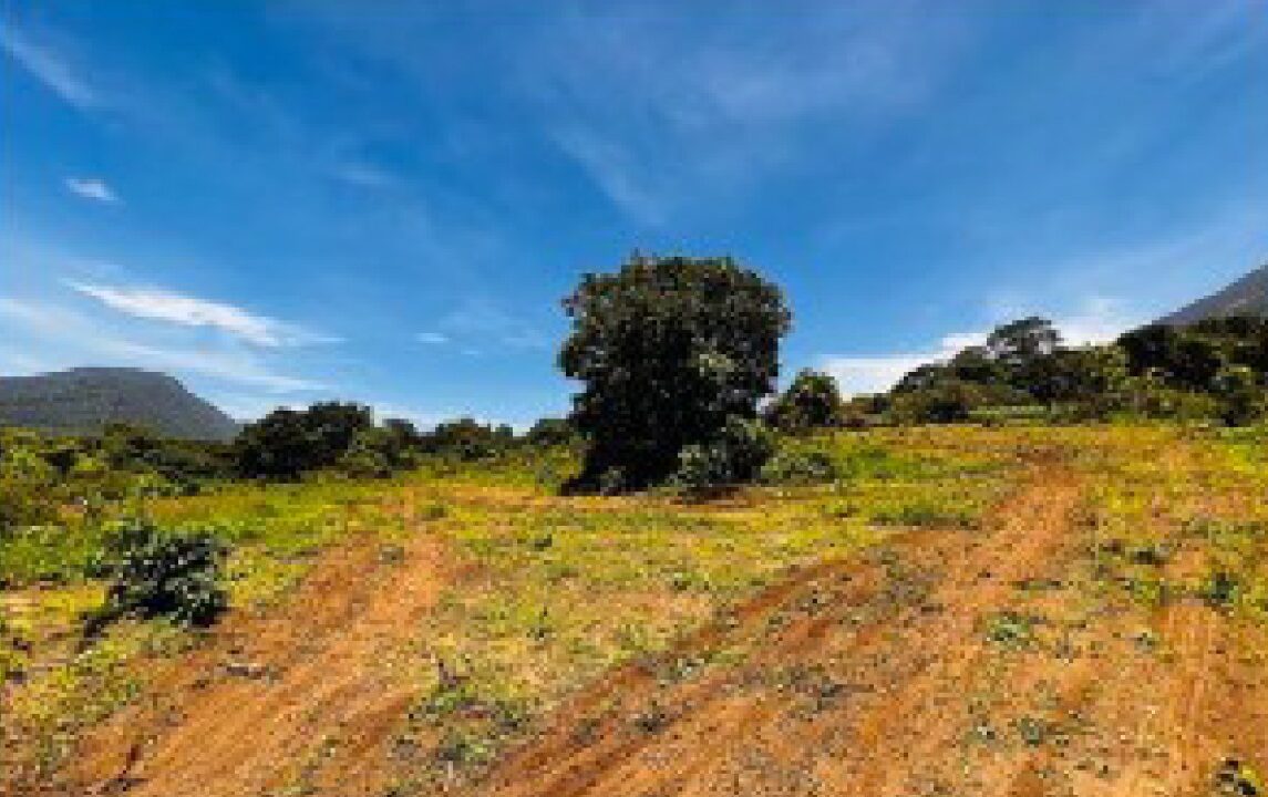 200601910_1030362694165400_1308788844259510927_n