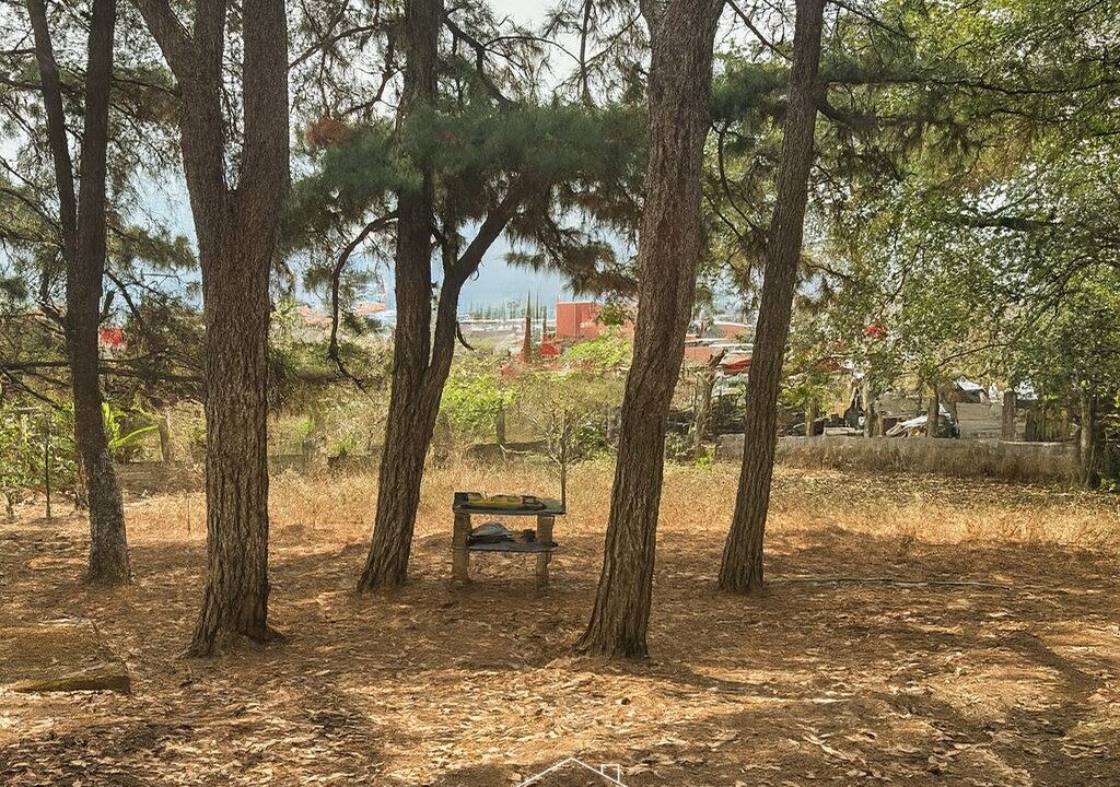 ChatGPT Image 26 ago 2025, 18_11_45