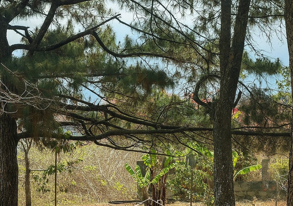 ChatGPT Image 26 ago 2025, 18_16_27