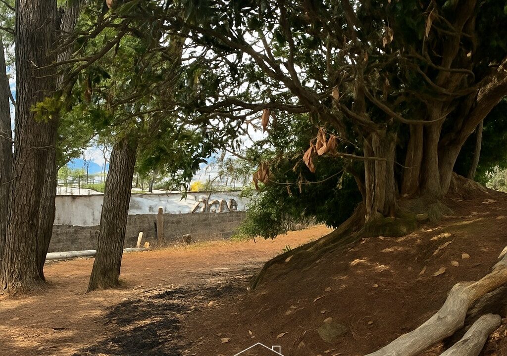 ChatGPT Image 26 ago 2025, 18_25_57