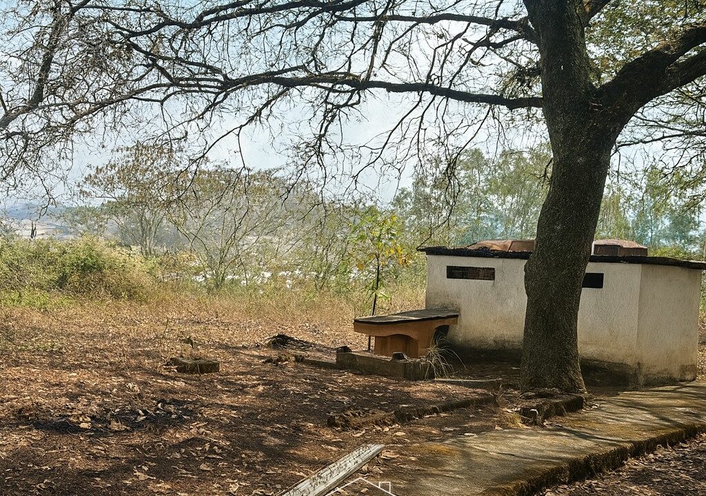 ChatGPT Image 26 ago 2025, 18_29_24