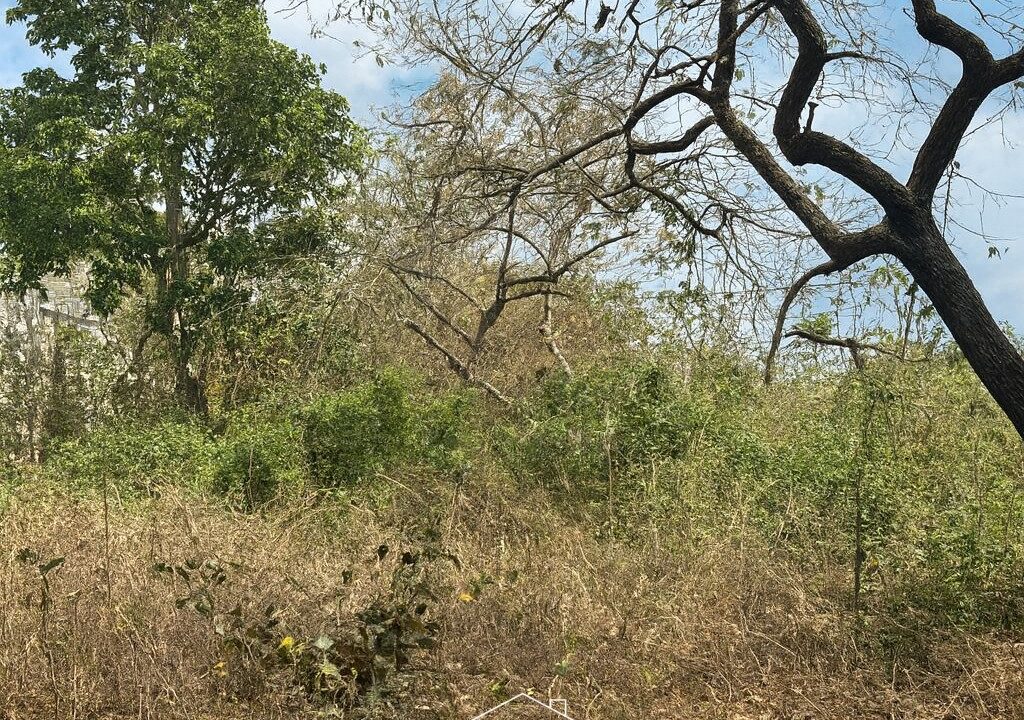 ChatGPT Image 26 ago 2025, 18_29_28