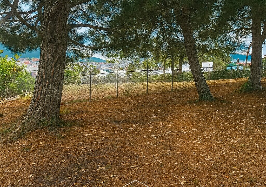 ChatGPT Image 26 ago 2025, 18_33_29