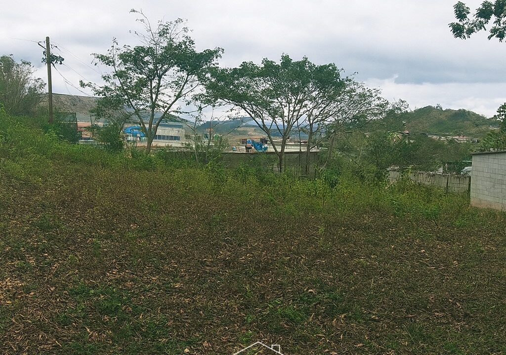 ChatGPT Image 26 ago 2025, 18_34_39