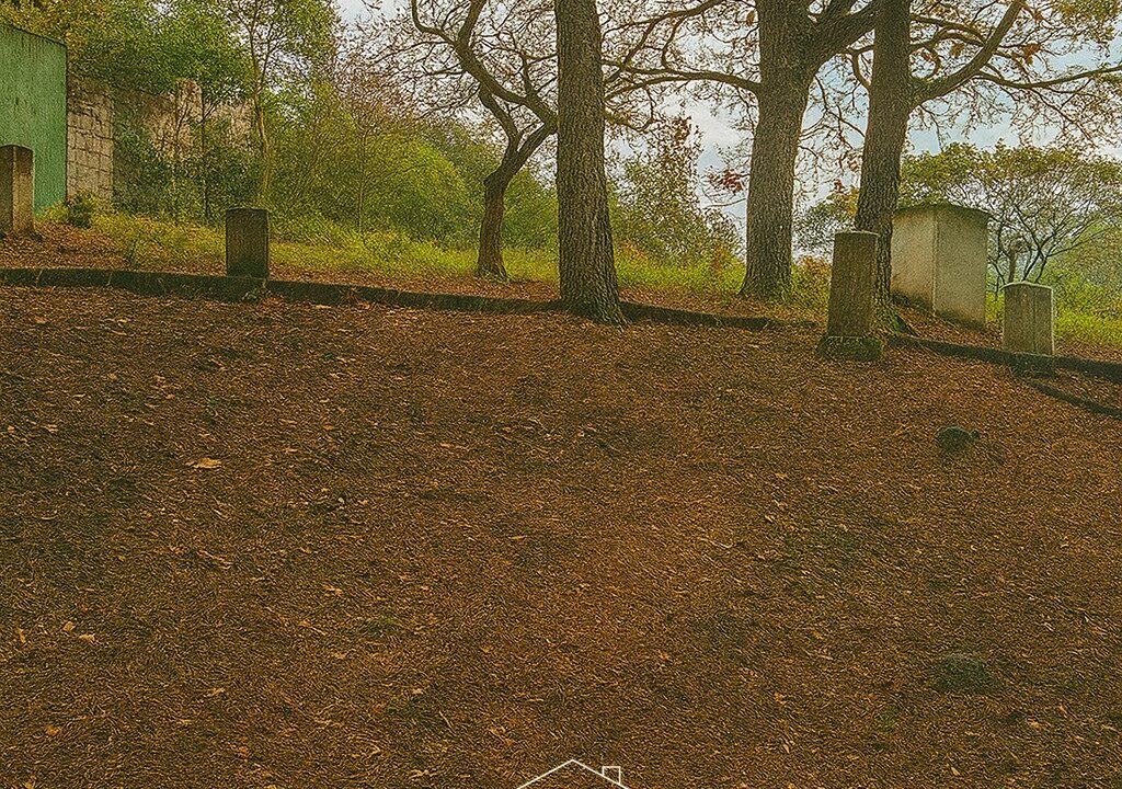 ChatGPT Image 26 ago 2025, 18_35_40