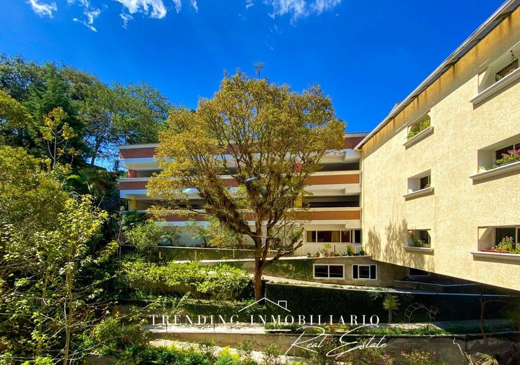 IMG_2410_polarr-scaled (1)