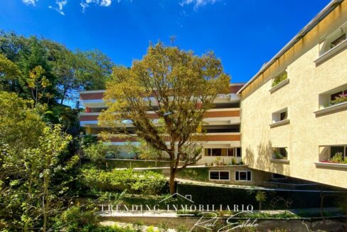 IMG_2410_polarr-scaled (1)