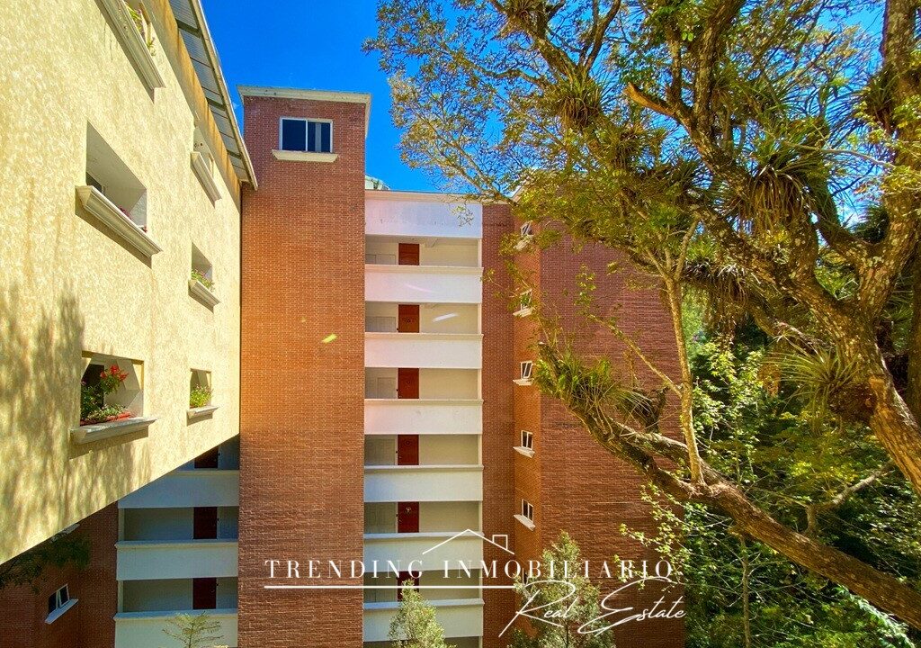 IMG_8409_polarr-scaled