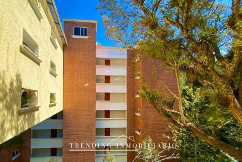 IMG_8409_polarr-scaled