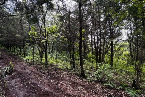 Sin títulosdsdzxzsssxzxzdvx