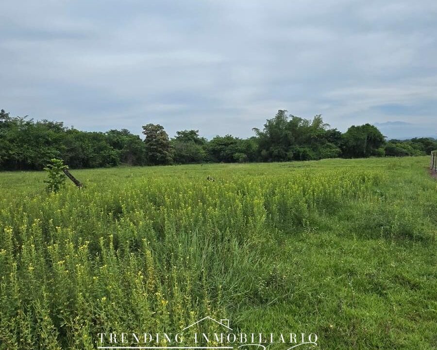 terreno_cuadrado_redes