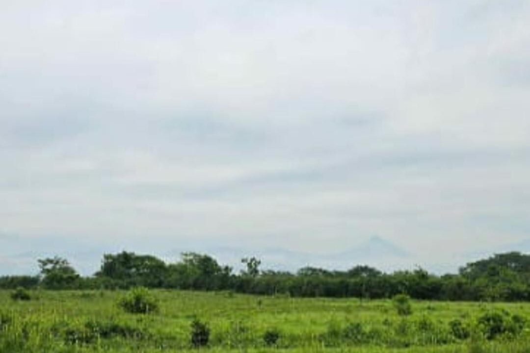 terreno_cuadrado_redes_3_fix