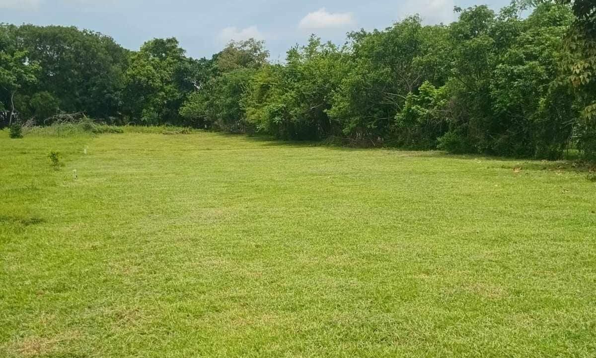 terreno_cuadrado_redes_4