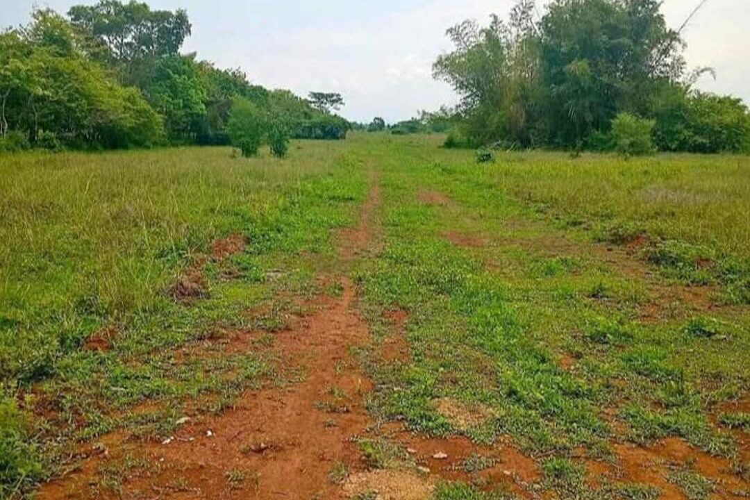 terreno_cuadrado_redes_5_fix