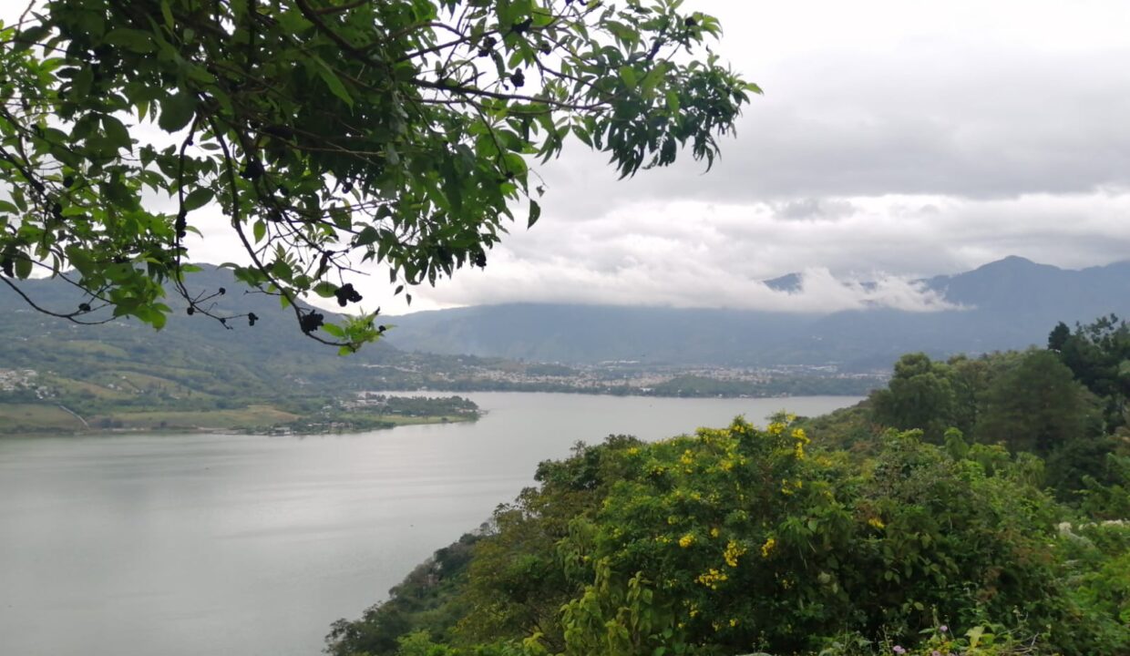 WhatsApp Image 2022-01-24 at 11.23.19 AM (1)