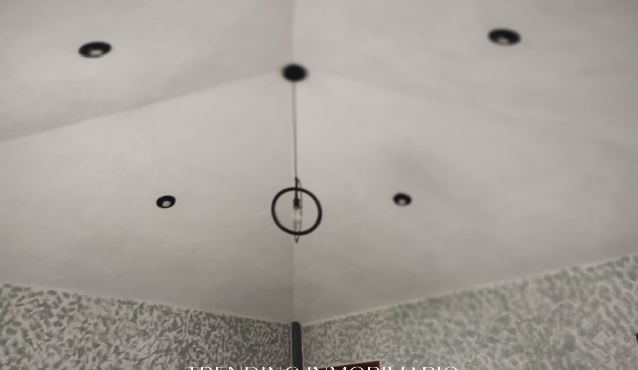 WhatsApp Image 2025-08-17 at 12.13.47 PM (1)