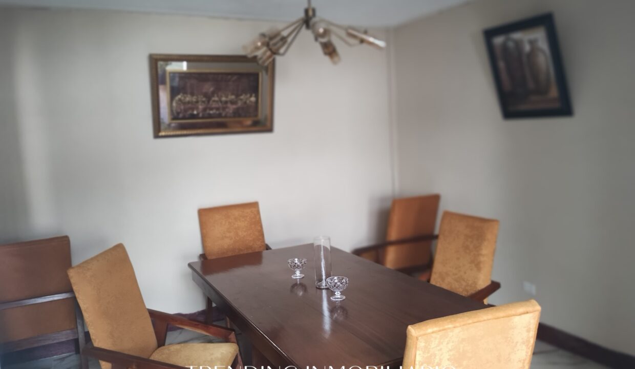 WhatsApp Image 2025-08-17 at 12.13.47 PM