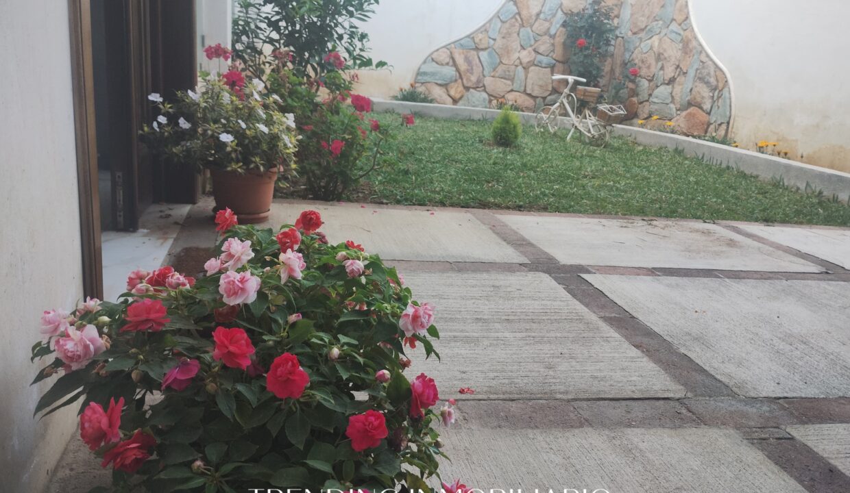 WhatsApp Image 2025-08-17 at 12.13.47 PM (3)