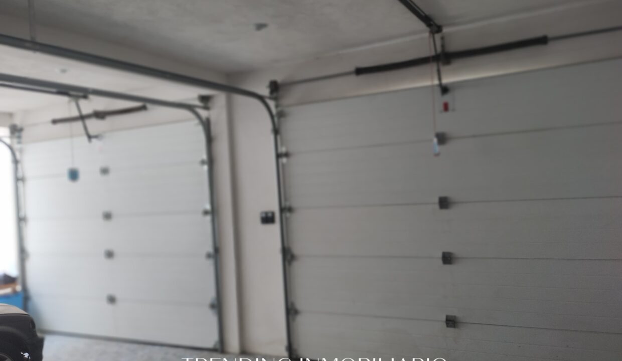 WhatsApp Image 2025-08-17 at 12.13.47 PM (6)