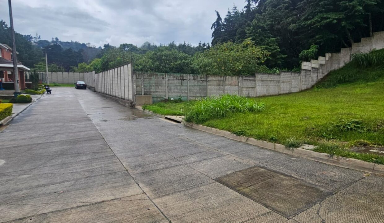 WhatsApp Image 2025-09-03 at 6.18.47 PM