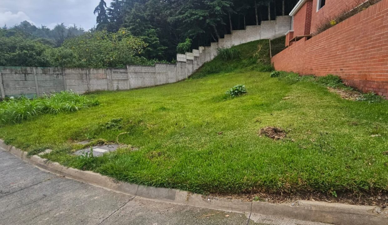 WhatsApp Image 2025-09-03 at 6.18.47 PM (3)