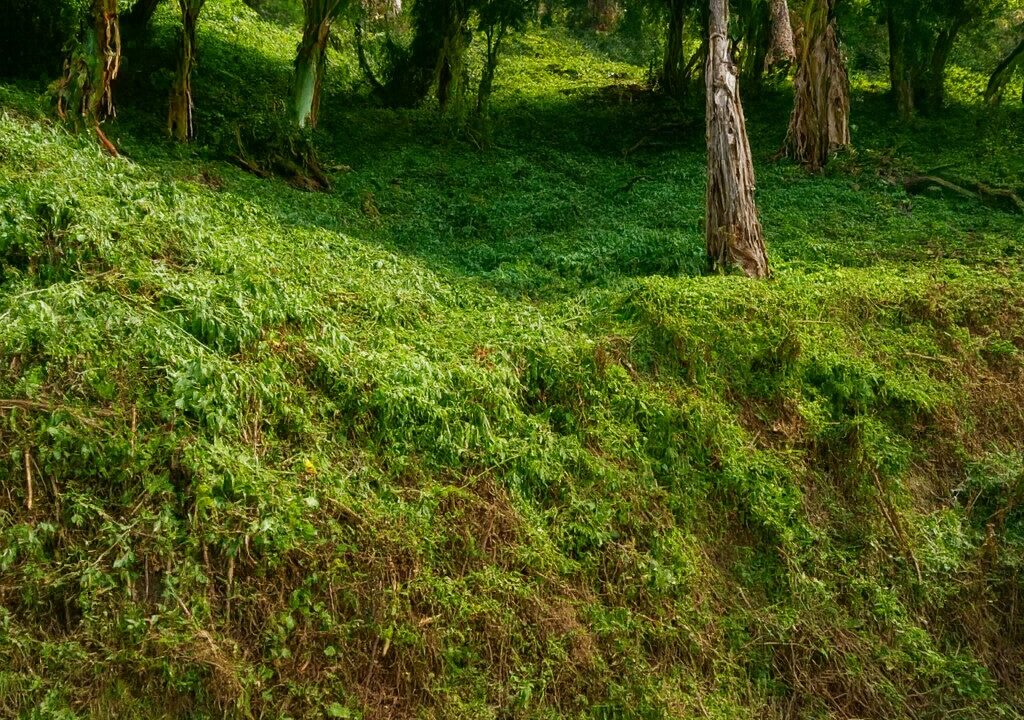 ChatGPT Image 2 sept 2025, 08_09_15