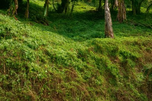 ChatGPT Image 2 sept 2025, 08_09_15