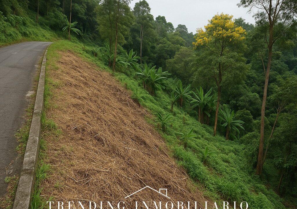 ChatGPT Image 2 sept 2025, 08_09_21