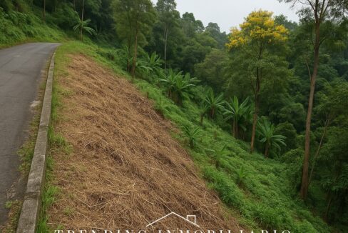 ChatGPT Image 2 sept 2025, 08_09_21