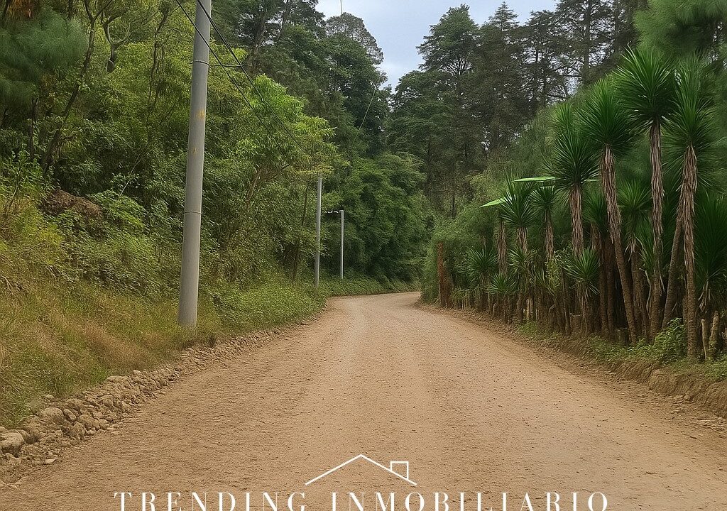 ChatGPT Image 2 sept 2025, 09_29_24