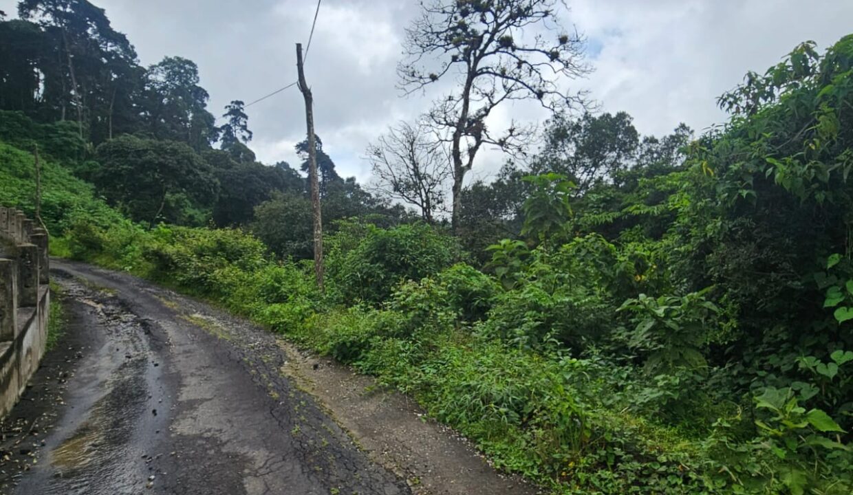 WhatsApp Image 2025-11-11 at 10.02.32 PM