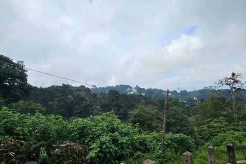 WhatsApp Image 2025-11-11 at 10.02.33 PM (2)