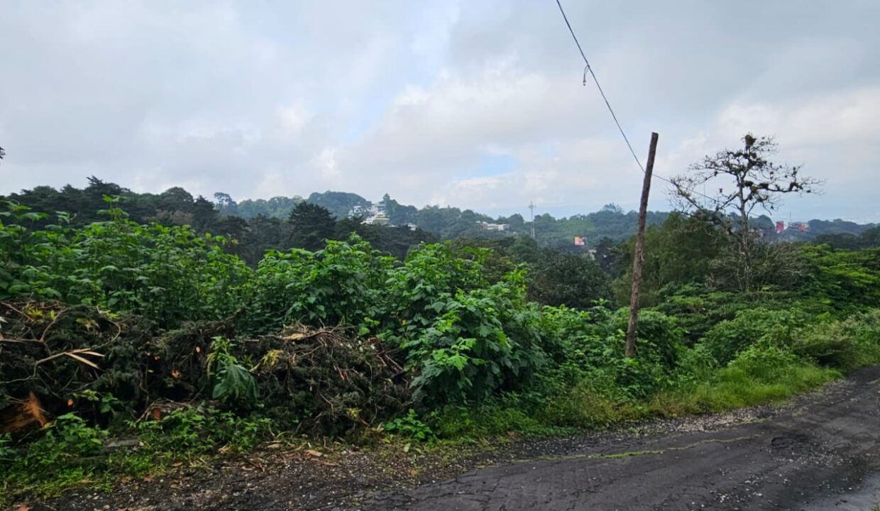 WhatsApp Image 2025-11-11 at 10.02.33 PM (4)