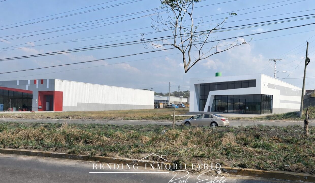 ChatGPT Image 29 ene 2026, 14_05_31