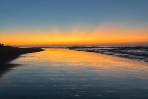 WhatsApp Image 2026-01-28 at 11.37.04 AM