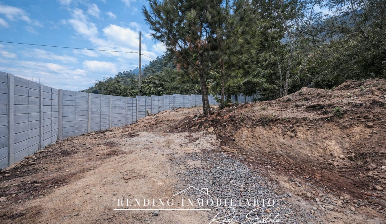 ChatGPT Image 22 dic 2025, 14_44_33