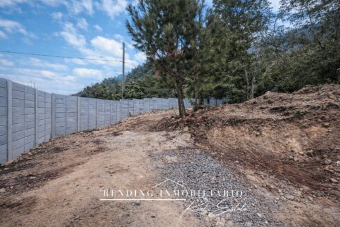 ChatGPT Image 22 dic 2025, 14_44_33