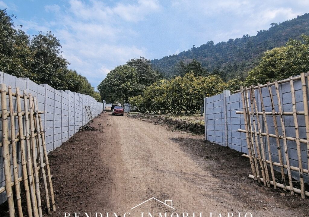 ChatGPT Image 22 dic 2025, 14_44_37