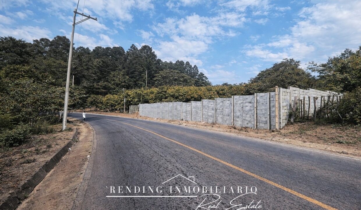 ChatGPT Image 22 dic 2025, 14_44_40