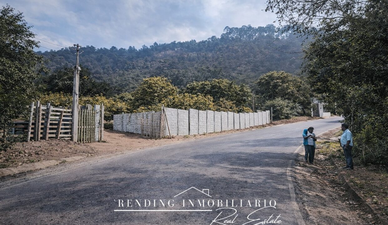 ChatGPT Image 22 dic 2025, 14_44_42