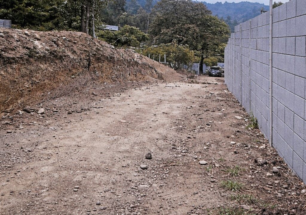 ChatGPT Image 22 dic 2025, 14_44_51