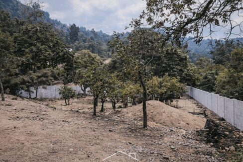 ChatGPT Image 22 dic 2025, 14_44_54