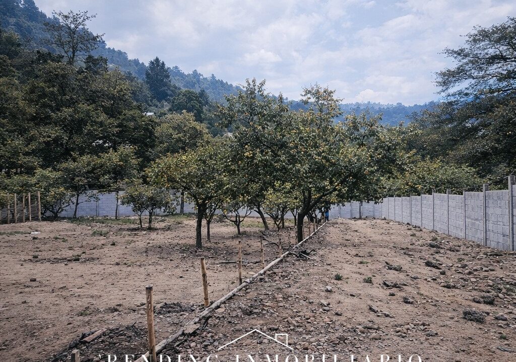 ChatGPT Image 22 dic 2025, 14_44_58