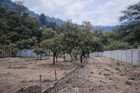 ChatGPT Image 22 dic 2025, 14_44_58