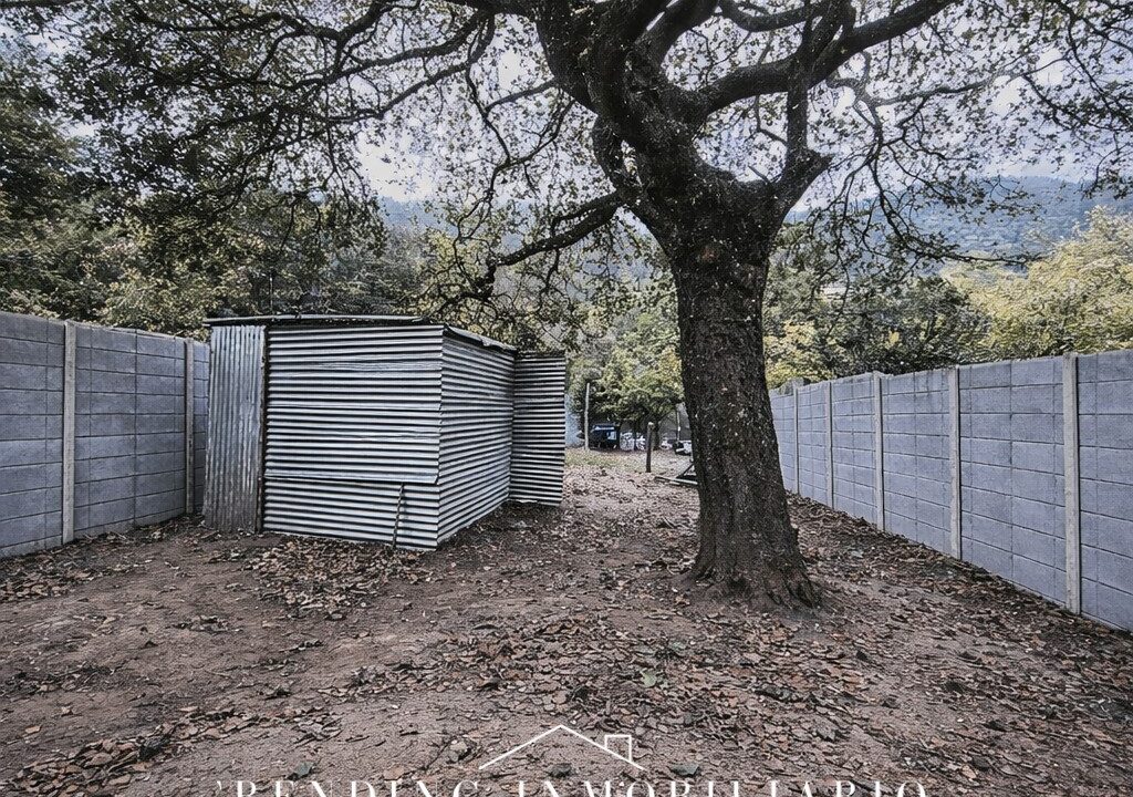 ChatGPT Image 22 dic 2025, 14_45_00