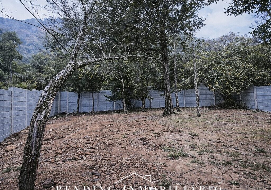 ChatGPT Image 22 dic 2025, 14_45_06