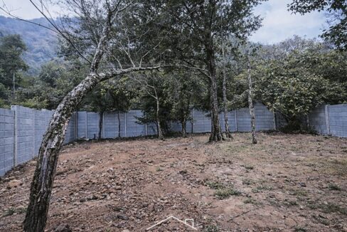 ChatGPT Image 22 dic 2025, 14_45_06