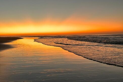 WhatsApp Image 2026-01-28 at 11.37.04 AM (1)