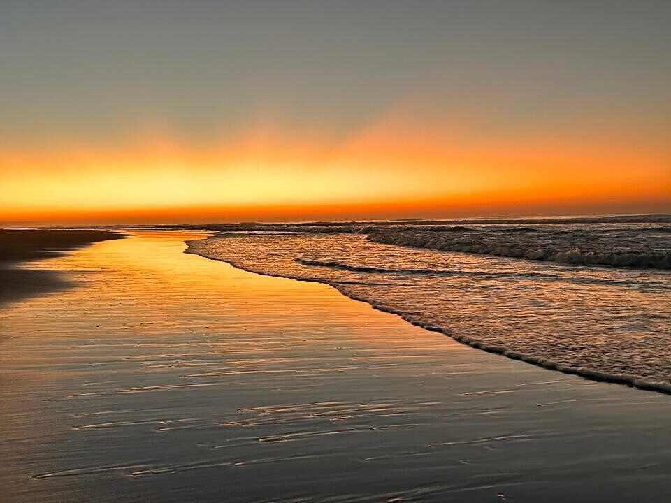 WhatsApp Image 2026-01-28 at 11.37.04 AM (1)