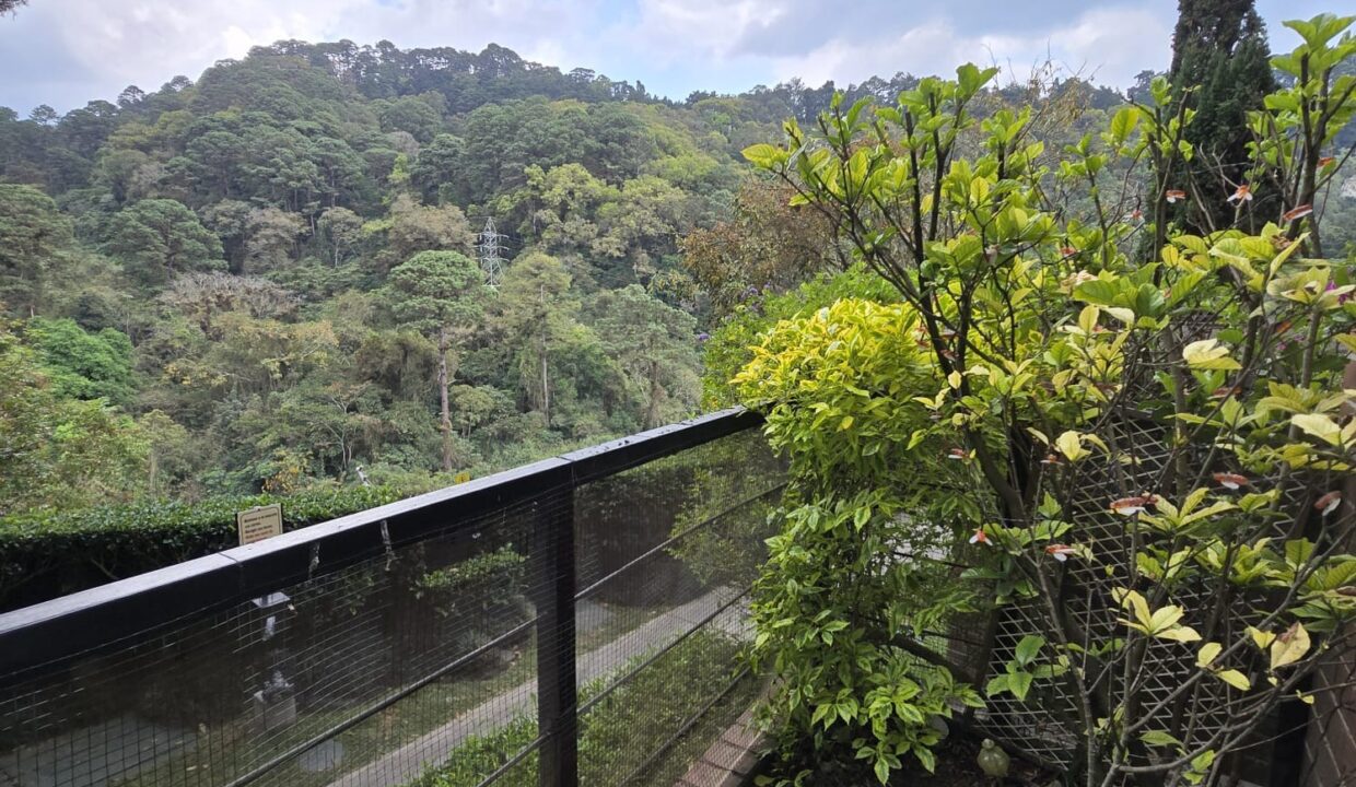 WhatsApp Image 2026-03-17 at 11.51.26 AM (4)